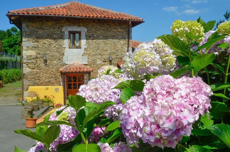 Penzion La Asturxana Malleza Exteriér fotografie