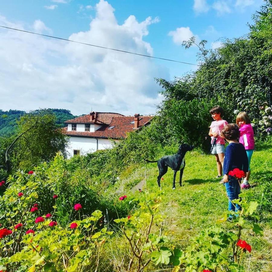 Penzion La Asturxana Malleza Exteriér fotografie